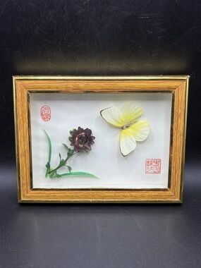 Vintage Signed Butterfly Specimen Taxidermy Entomology Framed Wall Art Artwork